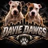 Davie Dawgs